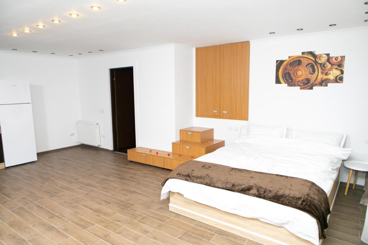 Vila Elisabeta Braşov Dış mekan fotoğraf